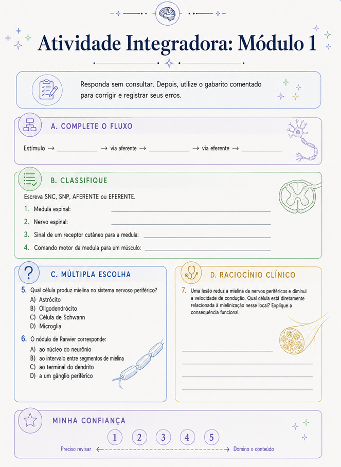 Exemplo real de atividade integradora